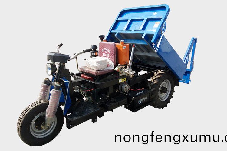 三(san)輪(lun)定(ding)製(zhi)車