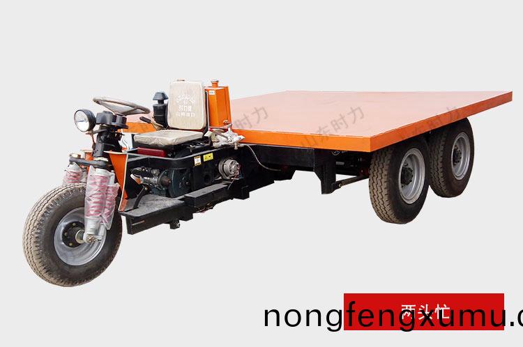 兩(liang)頭(tou)忙柴油(you)三輪車