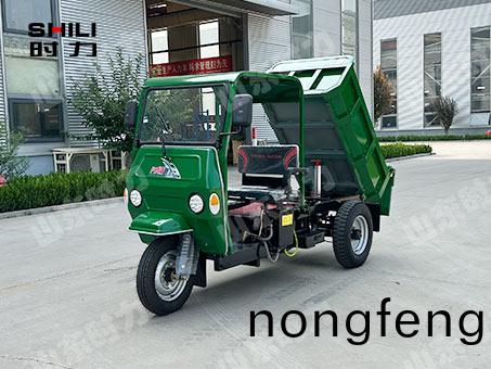 1噸(dun)簡(jian)棚電(dian)動(dong)三輪自卸車