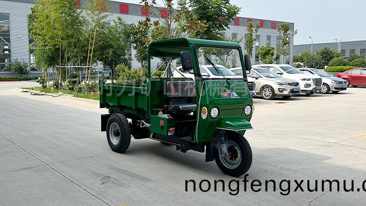 1噸電(dian)動自卸(xie)三輪車