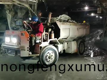 甘肅鐵(tie)鑛(kuang)5噸(dun)鑛(kuang)用(yong)運(yun)輸車(che)