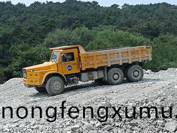 遼(liao)寧(ning)鑛(kuang)山(shan)尖頭UQ-20運(yun)輸車
