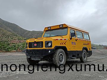 山(shan)西10人無軌人車(che)