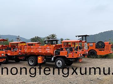 河(he)南5噸(dun)地下自卸車使用(yong)現(xian)場(chang)