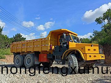 遼寧(ning)20噸地(di)下(xia)自(zi)卸車使用(yong)現(xian)場