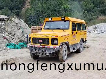 湖(hu)北10人(ren)無軌(gui)人車(che)